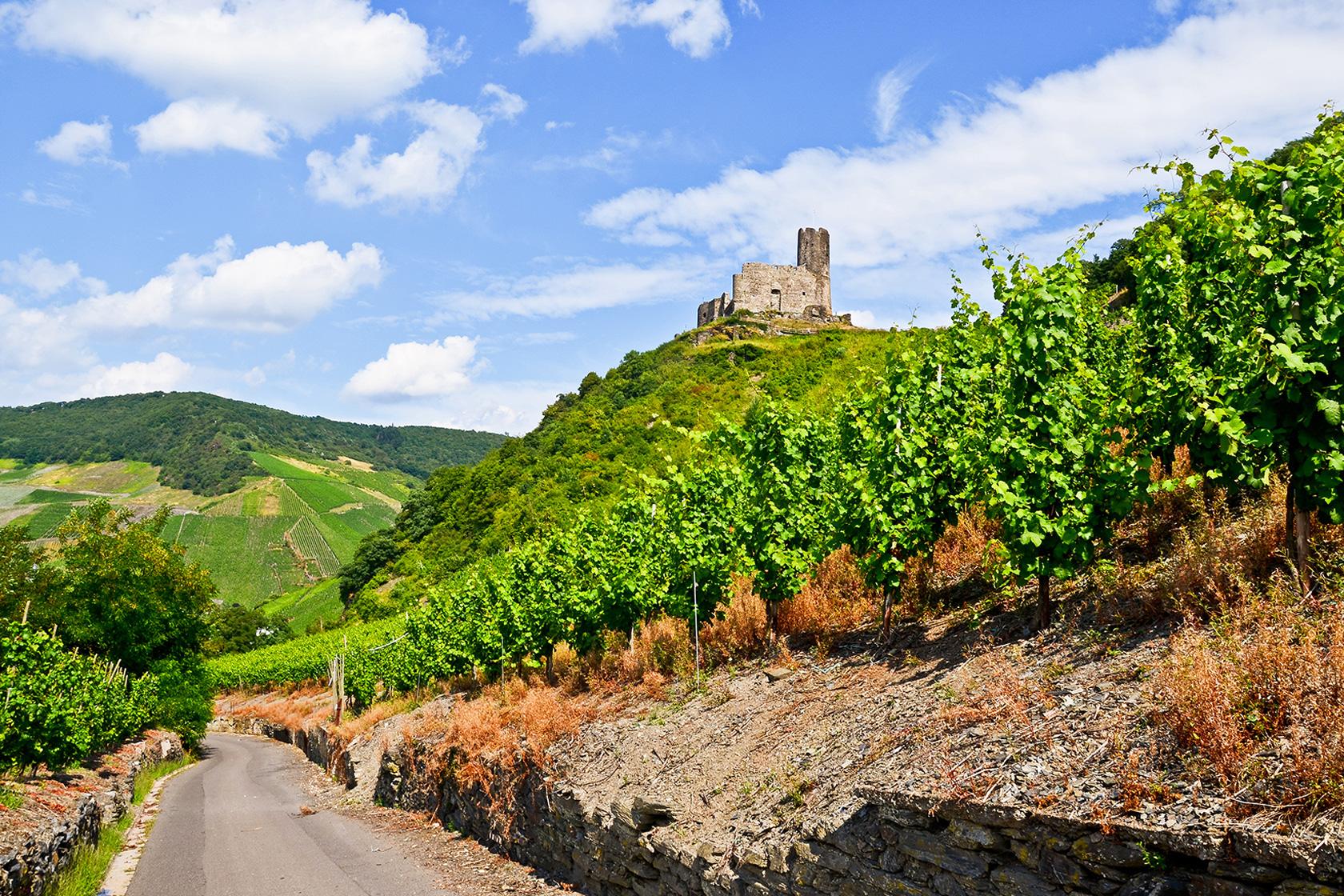 BERNKASTEL CRUCEROS MOSELA CRUCEROS FLUVIALES MOSELA MOSELLE RIVER CRUIES MOSELLE CRUISES CRUCEROS MOSELA #RiverCruises #CrucerosFluviales #Mosela #Bernkastel #Cruceros #Cruises #Creuers #Bidaiak